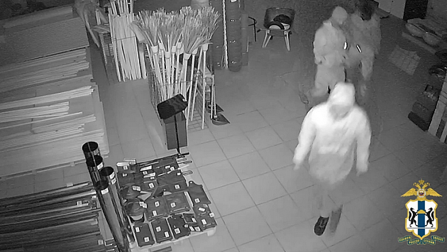 Новосибирская полиция завершила расследование серии краж на сумму более пяти миллионов рублей