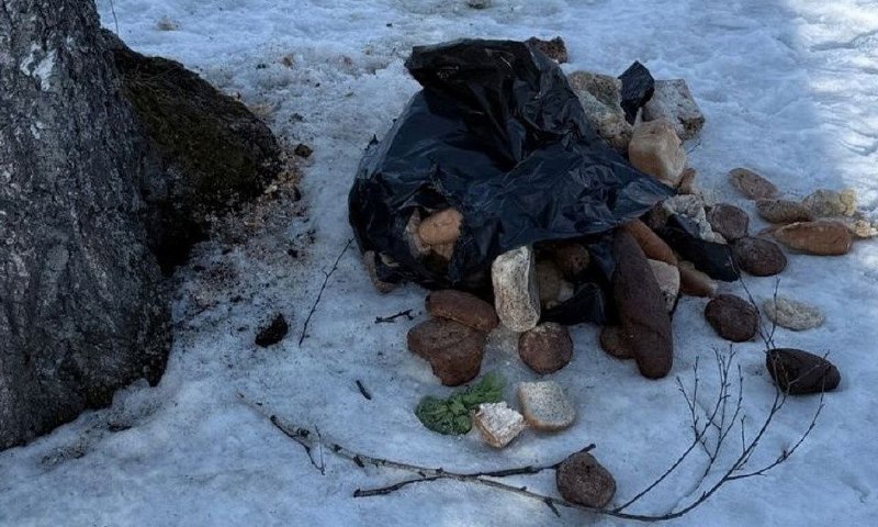 Тревога в наукограде: Парк под Новосибирском завален горами гнилого хлеба