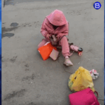 Новосибирская танцовщица на крыше авто ответит за ограбление таксиста