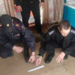 Новосибирец убил жену во время застолья: ему грозит 15 лет тюрьмы