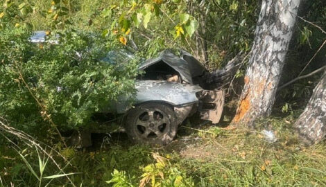 Смертельное ДТП под Новосибирском: Водитель погиб, врезавшись в дерево после обгона